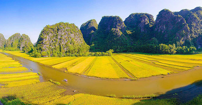 Tả cảnh buổi sáng trên cánh đồng Gallery 1