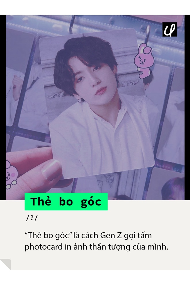 Ảnh bo góc là gì?
