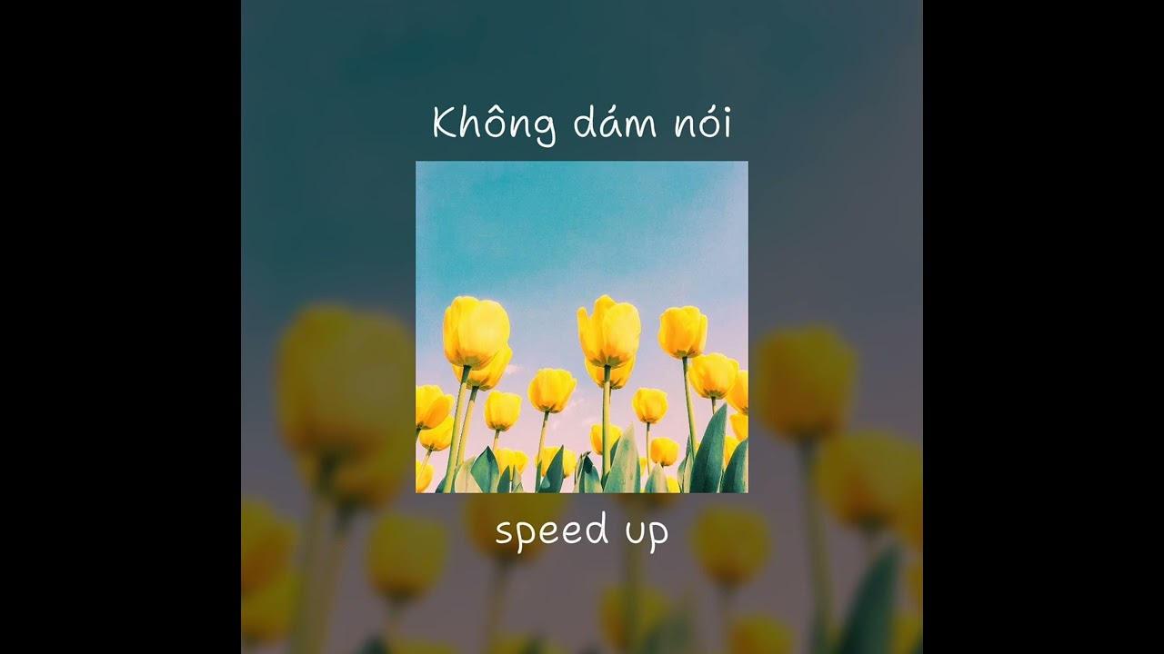 Ánh đèn vàng lại cùng cánh hoa tàn
