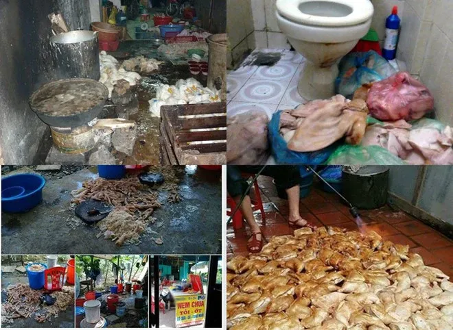 Tác hại khôn lường của thực phẩm bẩn đối với sức khỏe con người Gallery 1
