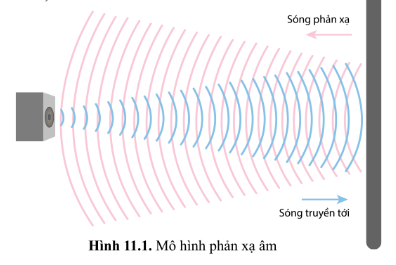 Âm phản xạ là gì? Gallery 2