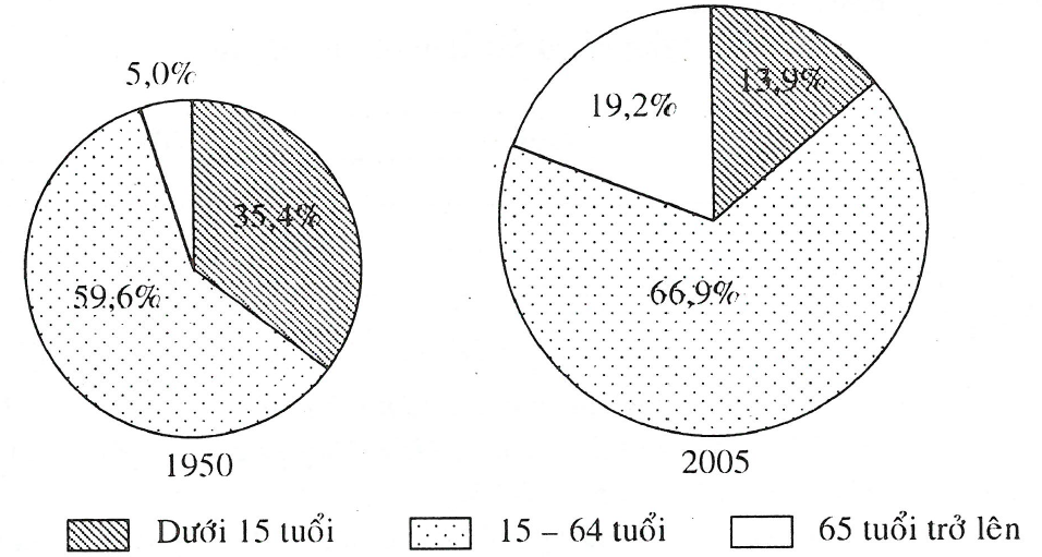 Cơ cấu dân số theo độ tuổi Gallery 2