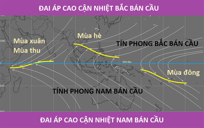 Giải Hội Tụ Nhiệt Đới Là Gì? Gallery 2