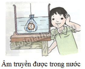Môi Trường Truyền Âm Là Gì? Gallery 2