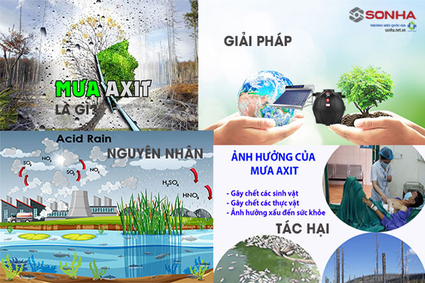 Giải thích hiện tượng mưa axit Gallery 2