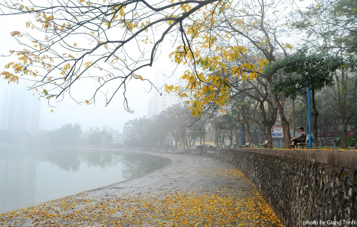 Mưa Rào Mùa Thu Gallery 2