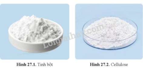 Trạng Thái Tự Nhiên Của Tinh Bột Gallery 2