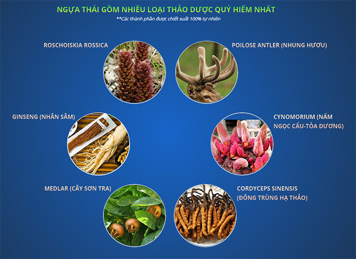 Tác hại khôn lường của thuốc ngựa Thái: Sự thật đằng sau những lời đồn thổi Gallery 2