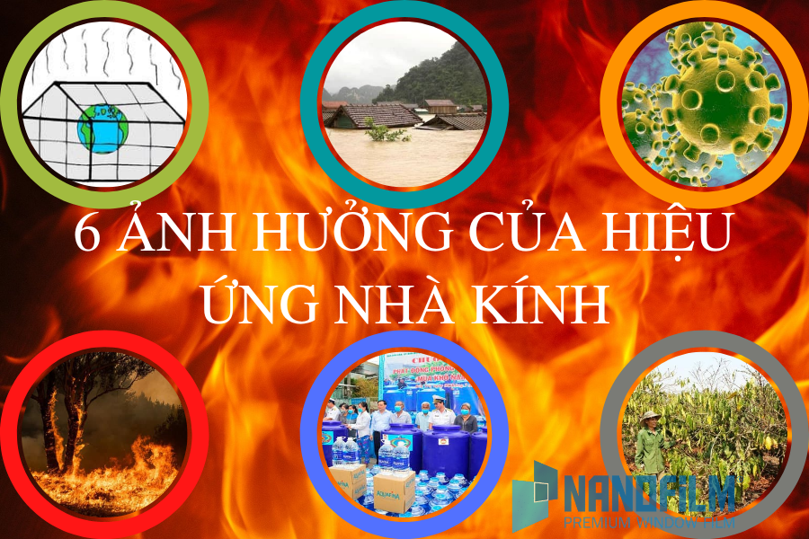 Ảnh hưởng của hiệu ứng nhà kính đến sức khỏe và đời sống con người Gallery 2