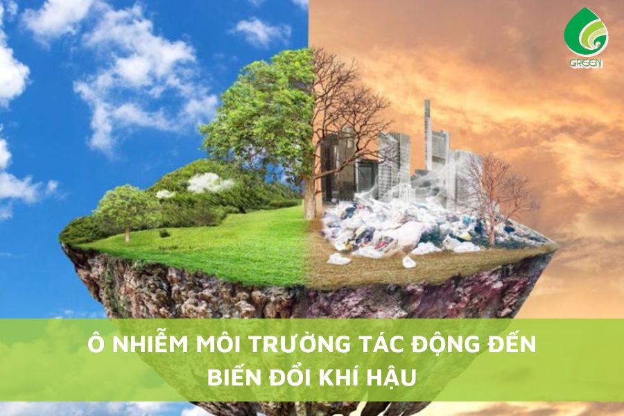 Biến đổi khí hậu gây ra hậu quả gì? Gallery 1