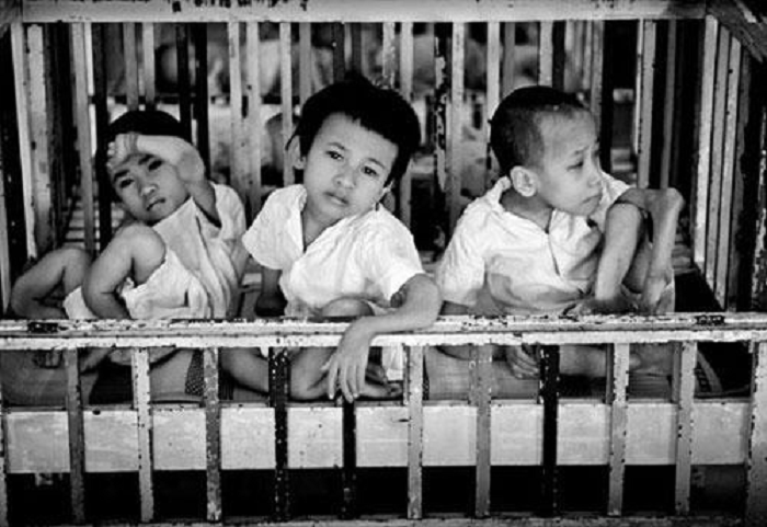 Hậu quả của chất độc màu da cam đối với con người Gallery 1