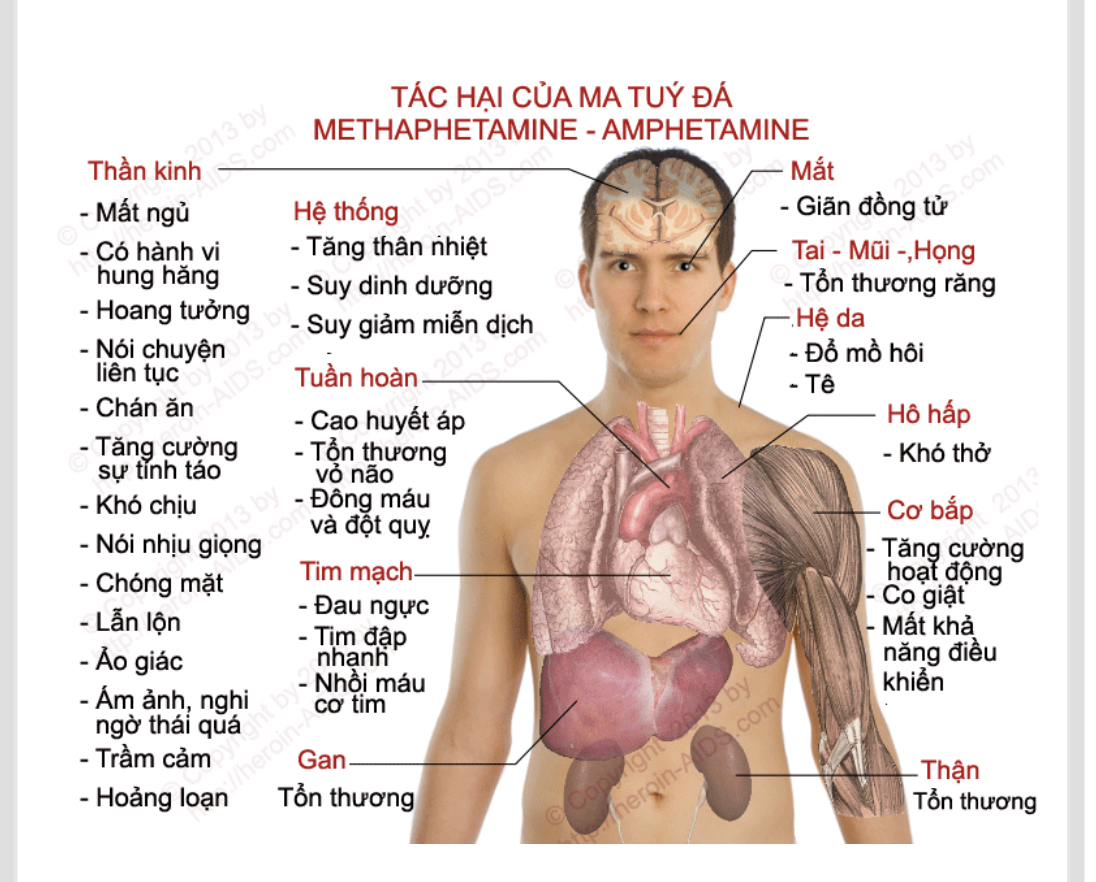 Tác hại của ma túy đến hệ tiêu hóa người nghiện như thế nào? Gallery 2