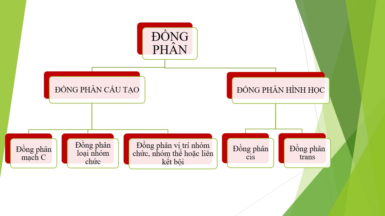 Anken có những loại đồng phân nào?