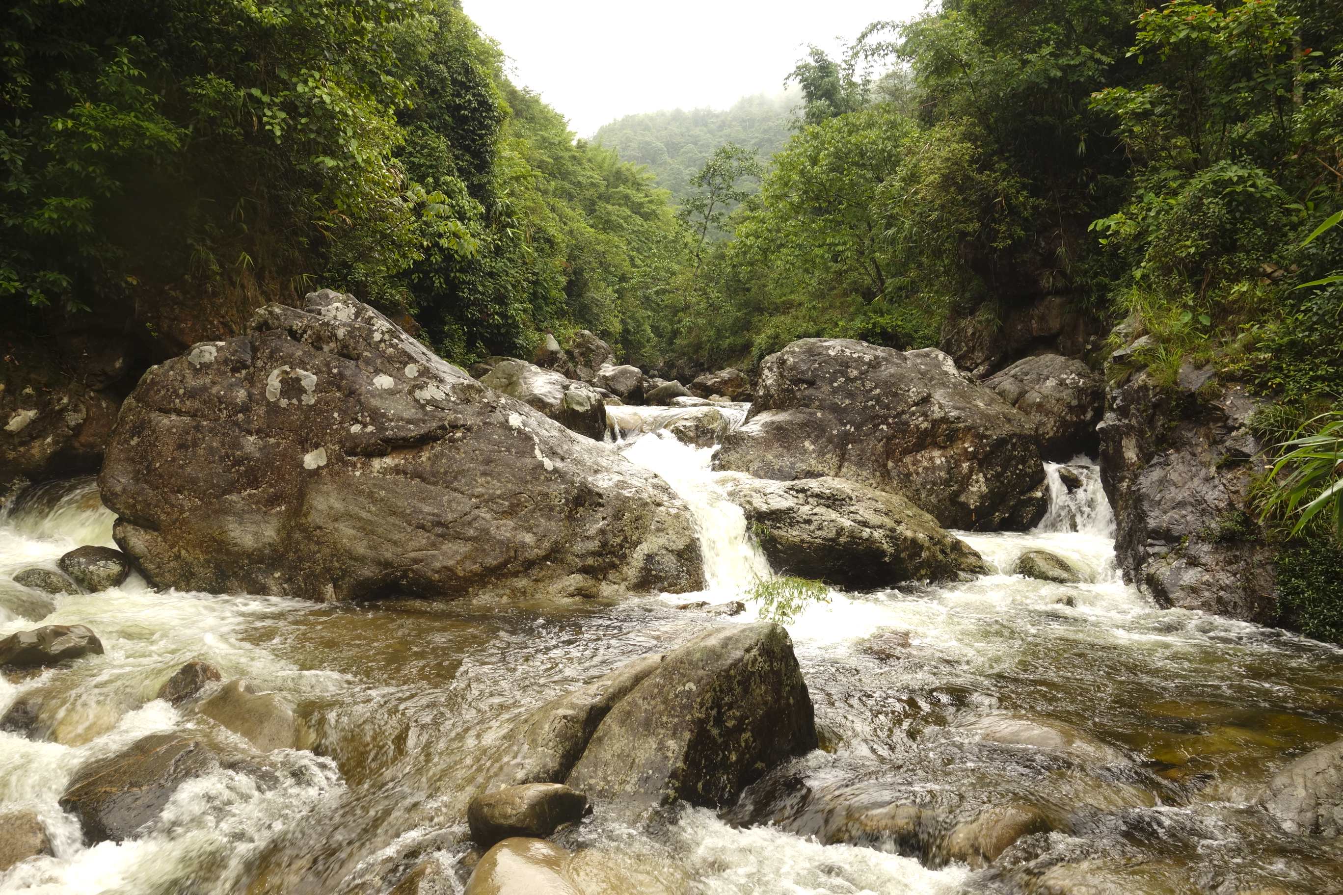 Ao Hồ Sông Suối