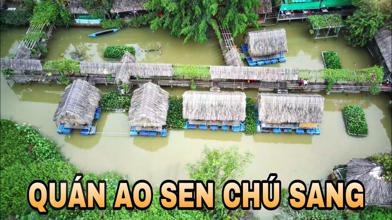 Ao Sen Chú Sang 2 Gallery 1