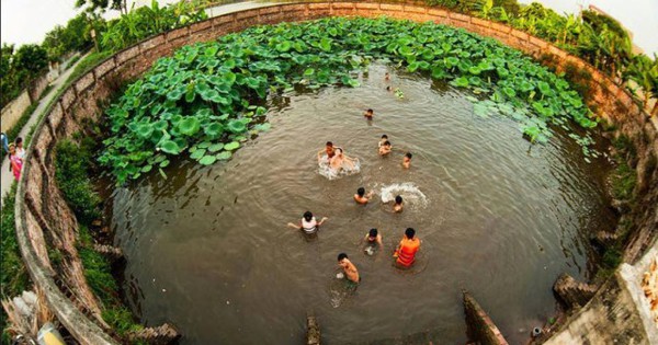 Ao tù nước đọng là gì? Tác hại và cách xử lý