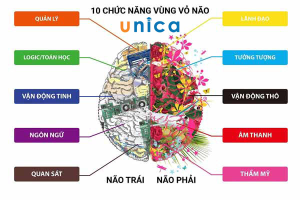 Tập trung học tập hiệu quả: Bí quyết thành công trong học tập Gallery 2