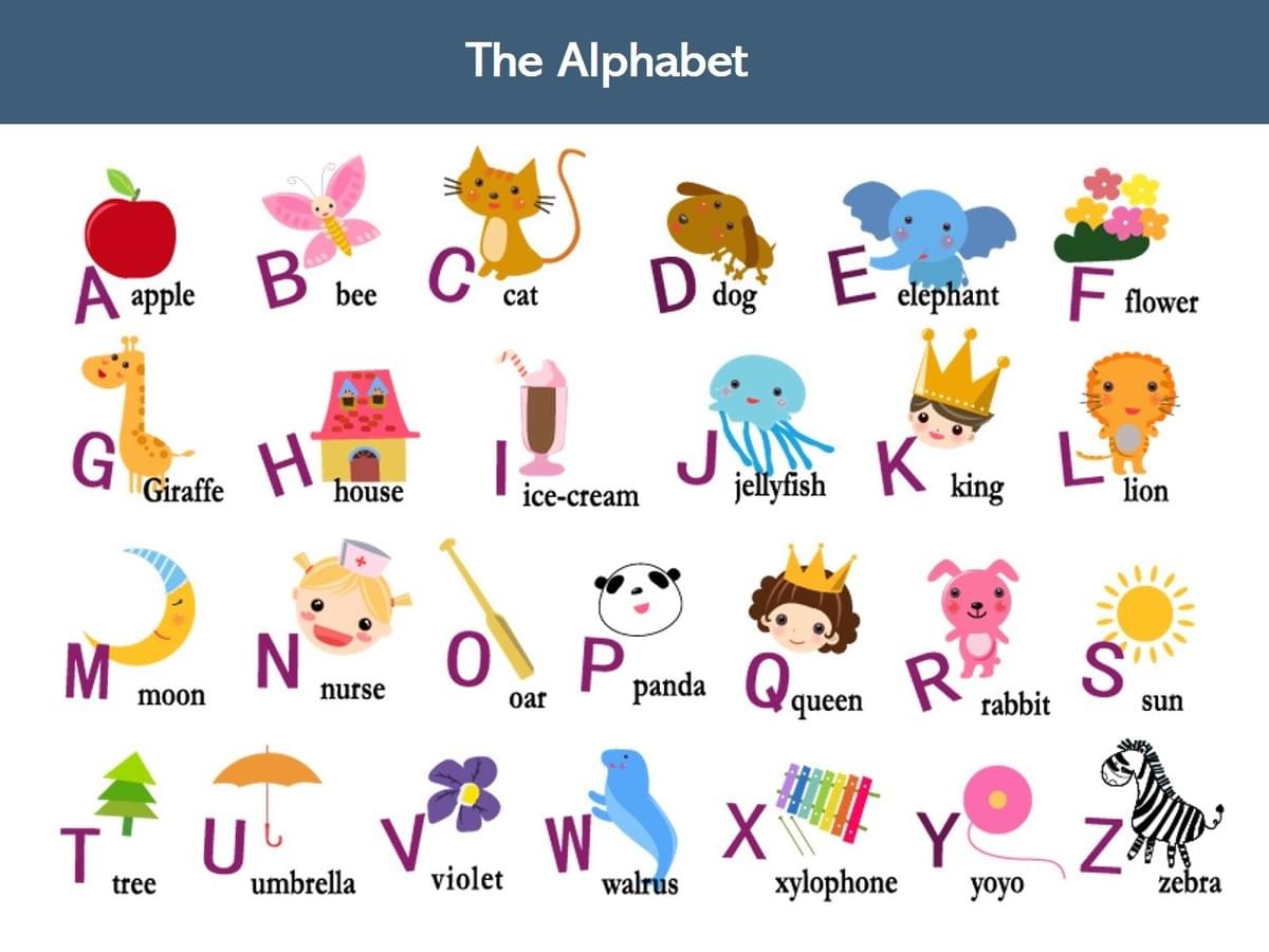 The 24 Letters of the English Alphabet Gallery 2