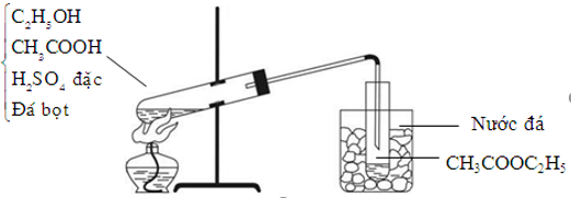 Axit Axetic Tác Dụng Với Muối