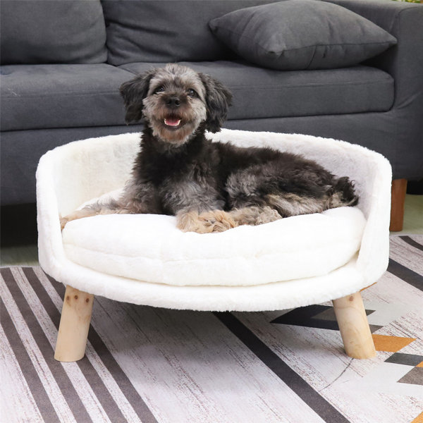 B Happi Dog Bed: Giường Ngủ Hoàn Hảo Cho Chú Chó Cưng Của Bạn