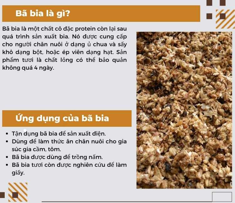 Ba lia là gì?