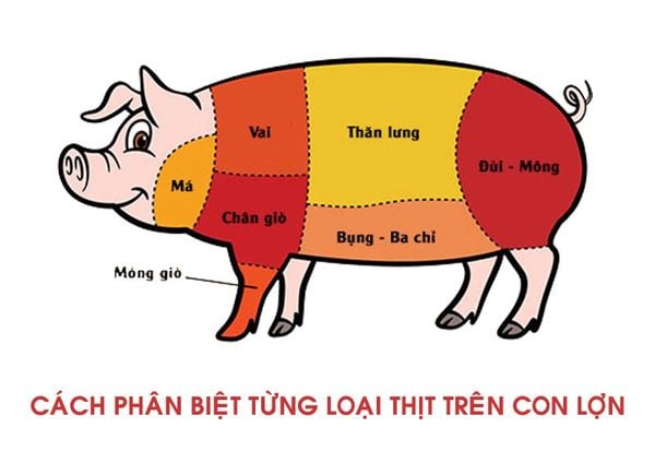 Ba rọi và ba chỉ khác nhau như thế nào?