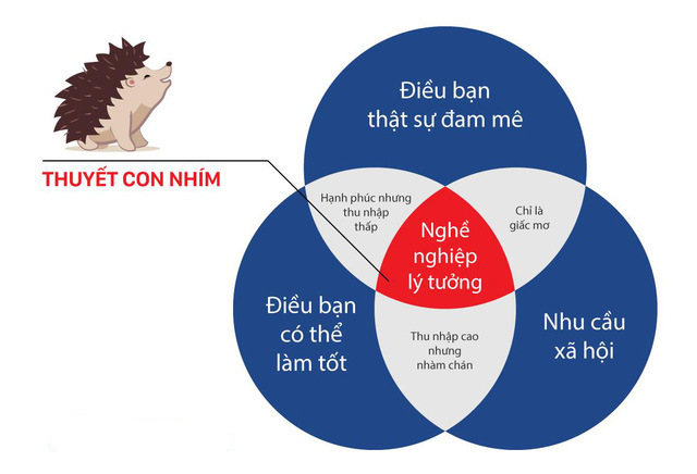 Mô Hình Con Nhím: Chiến lược tập trung vào 3 vòng tròn giao nhau Gallery 1