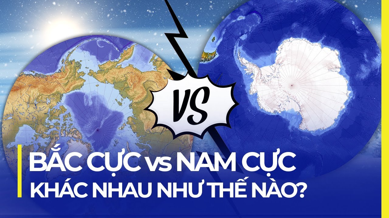 Bắc Cực và Nam Cực: Sự Khác Biệt Cơ Bản