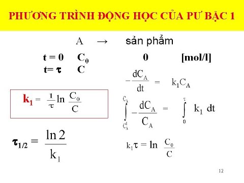Bậc Phản Ứng Là Gì?