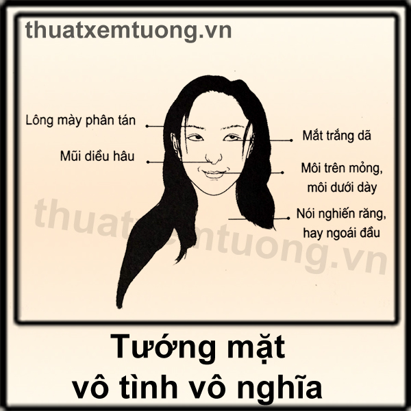 Bạc Tình Là Gì?
