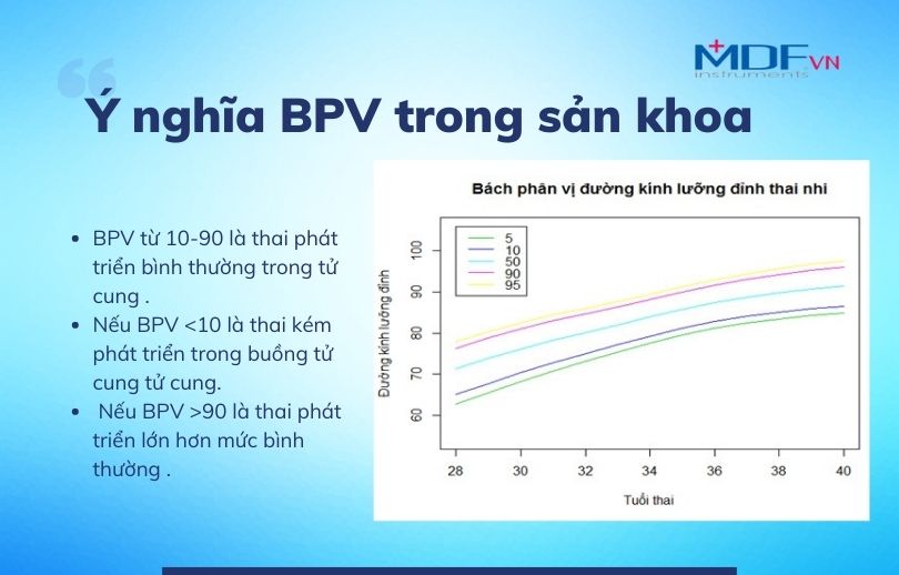 Bách phân vị thứ 5 là gì? Gallery 2