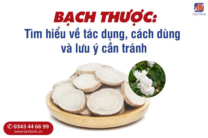 Bạch Thược Có Tác Dụng Gì?