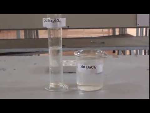 BaCl2 + Na2SO4 có kết tủa không?