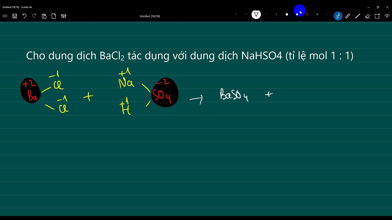 Phản ứng giữa BaCl2 và NaHSO4 với tỉ lệ 1:1