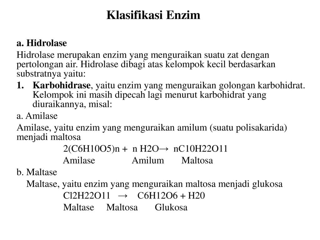 Ciri-Ciri Golongan Enzim Hidrolase