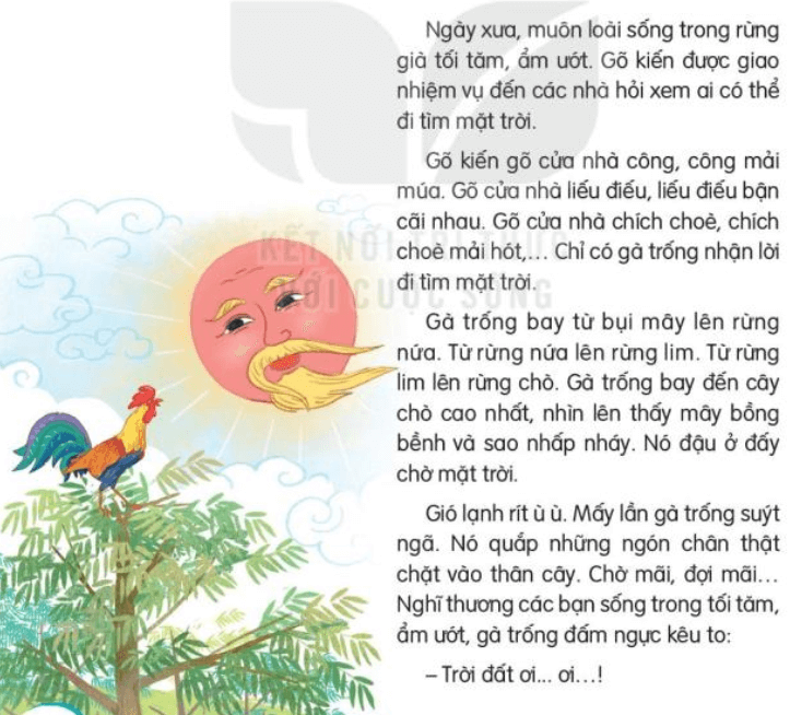 Bài 26 Đi Tìm Mặt Trời