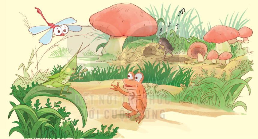 29 Ngôi Nhà Trong Cỏ