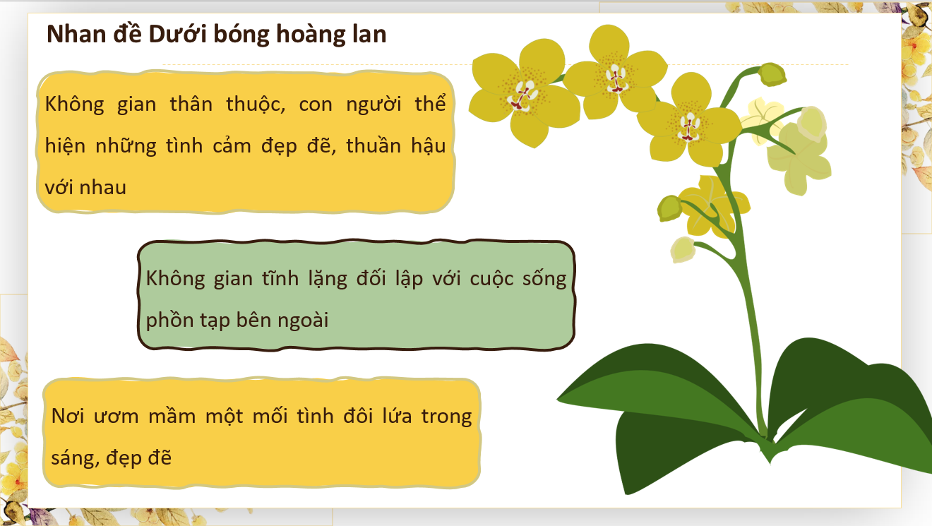 Bài giảng dưới bóng hoàng lan