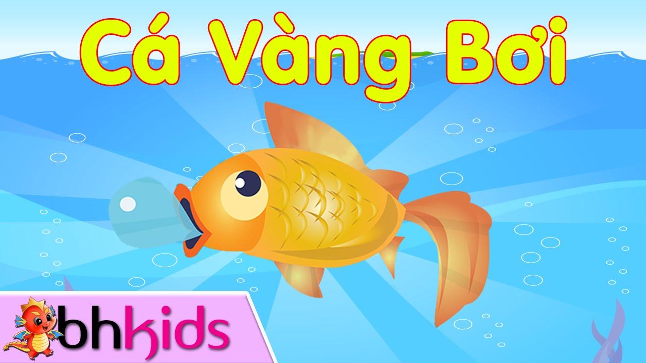 Bài Hát Con Cá Vàng
