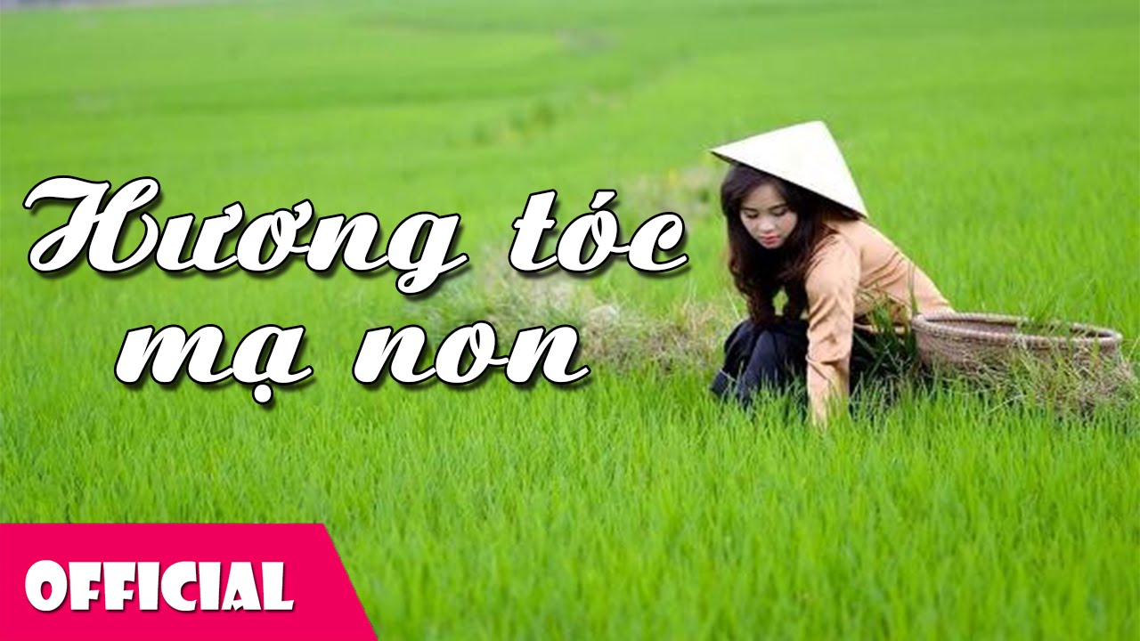 Hương Tóc Mạ Non Gallery 2