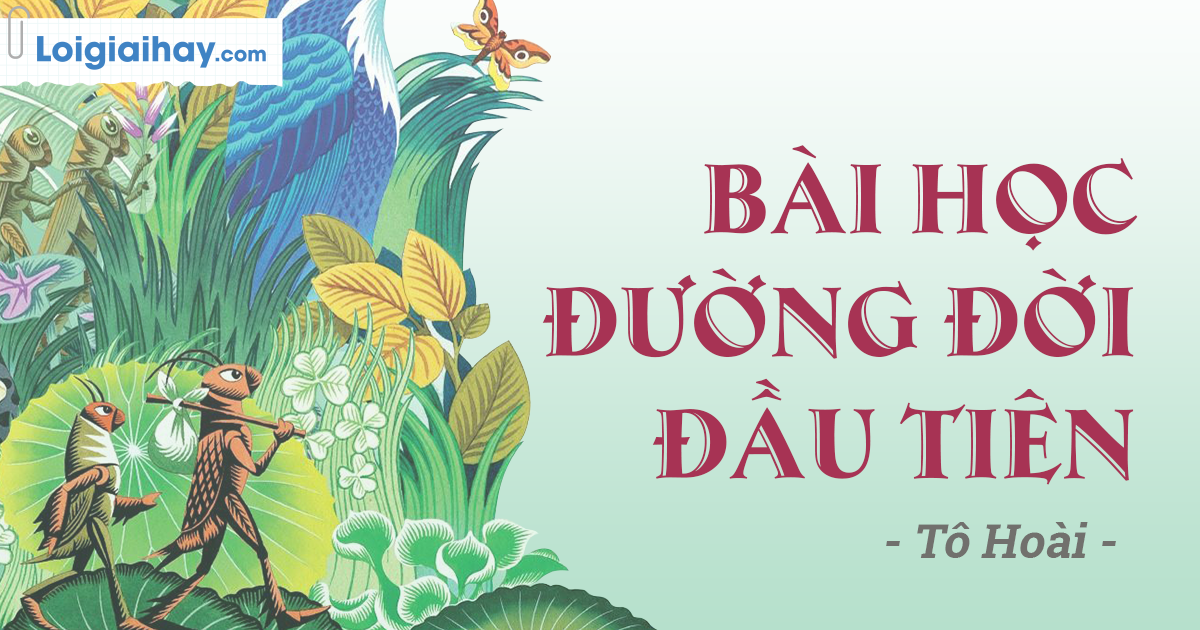 Bài Học Đường Đời Đầu Tiên Ngữ Văn Lớp 6