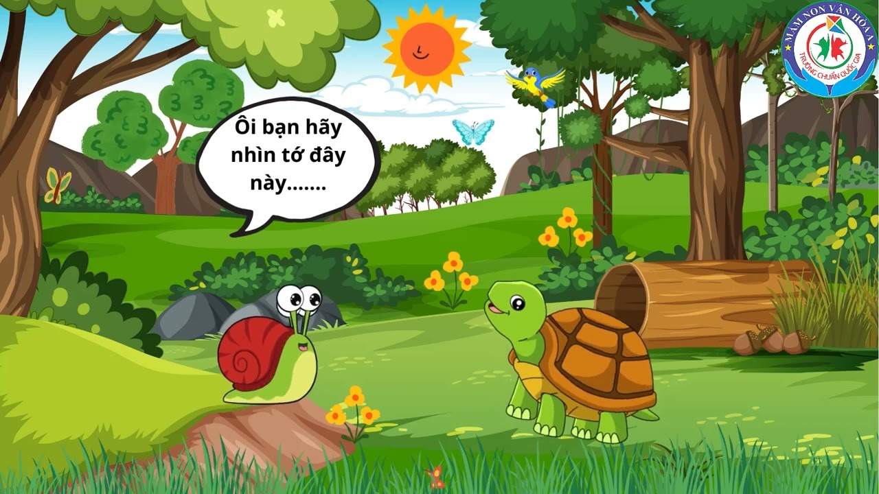 Câu chuyện rùa con tìm nhà Gallery 2