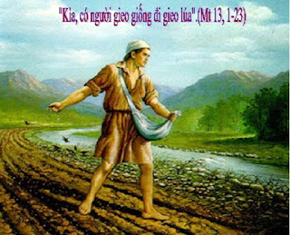 Dụ Ngôn Về Thành Công: Học Cách Trồng Cây Và Thu Hoạch Quả Ngọt Gallery 2