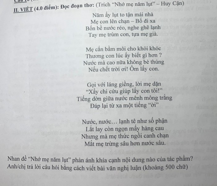 Nhớ Mẹ Năm Lụt Gallery 2