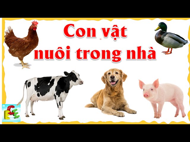 Câu chuyện về các con vật nuôi trong gia đình Gallery 2