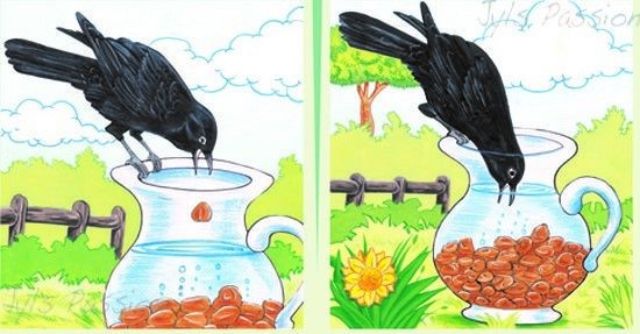 Ý Nghĩa Câu Chuyện Con Quạ Thông Minh Gallery 1