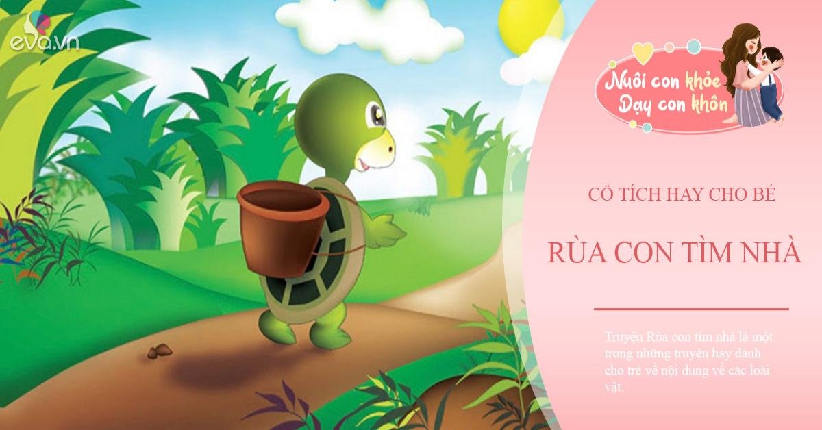 Rùa Con Tìm Nhà Gallery 2