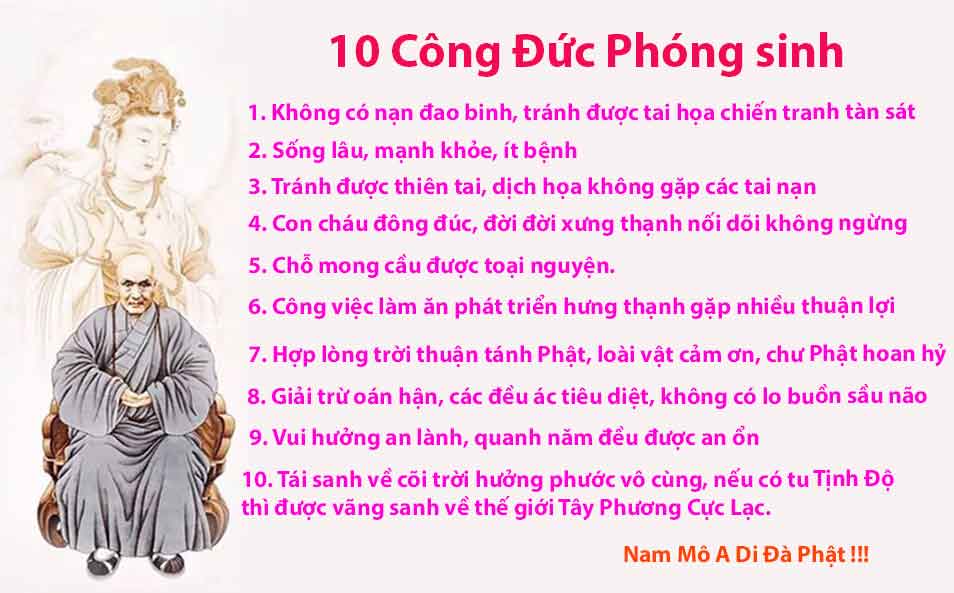 Bài Khấn Phóng Sinh Hồi Hướng Chuẩn Nhất Gallery 2