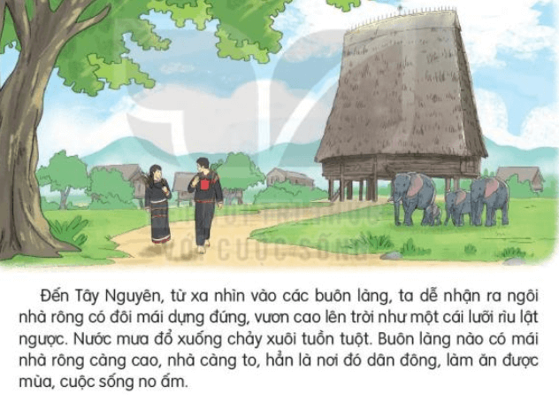 Nhà Rông là gì? Hình ảnh, ý nghĩa và kiến trúc Nhà Rông lớp 3