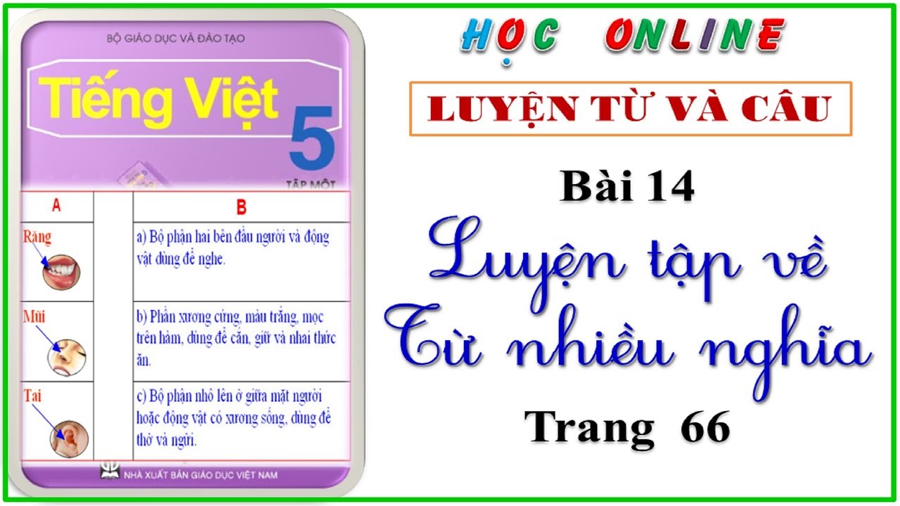 Luyện Từ và Câu Lớp 5 Từ Nhiều Nghĩa Gallery 2
